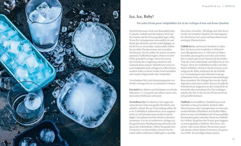 Gräfe Und Unzer Richter Daniel: Cocktails Selbst Gemixt – Bild 6