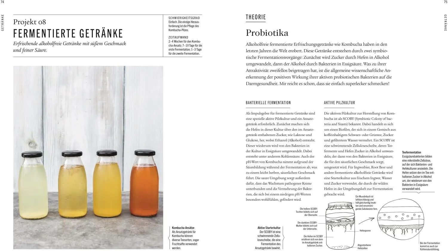 DK Verlag James Strawbridge: Selbermachen — Das Kochbuch – Bild 7